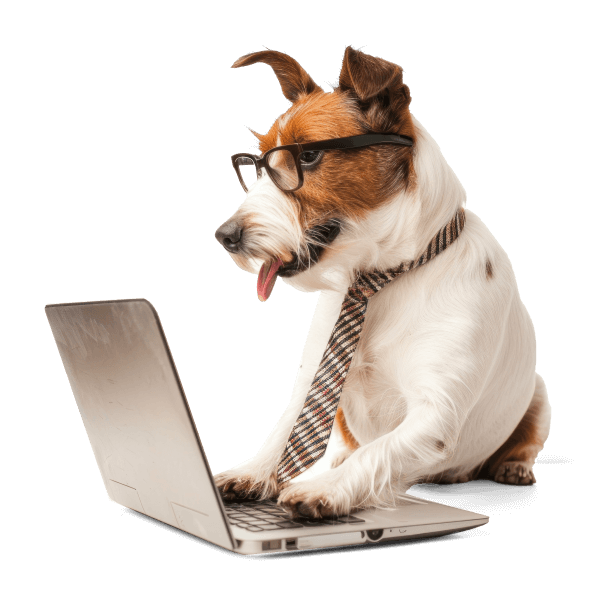 Gratis e-learning