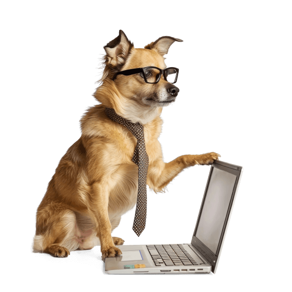Webinar